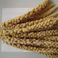 organic yellow/red millet spray